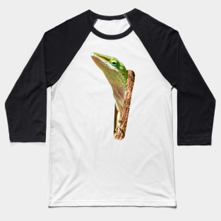 Peeping Green Anole Baseball T-Shirt